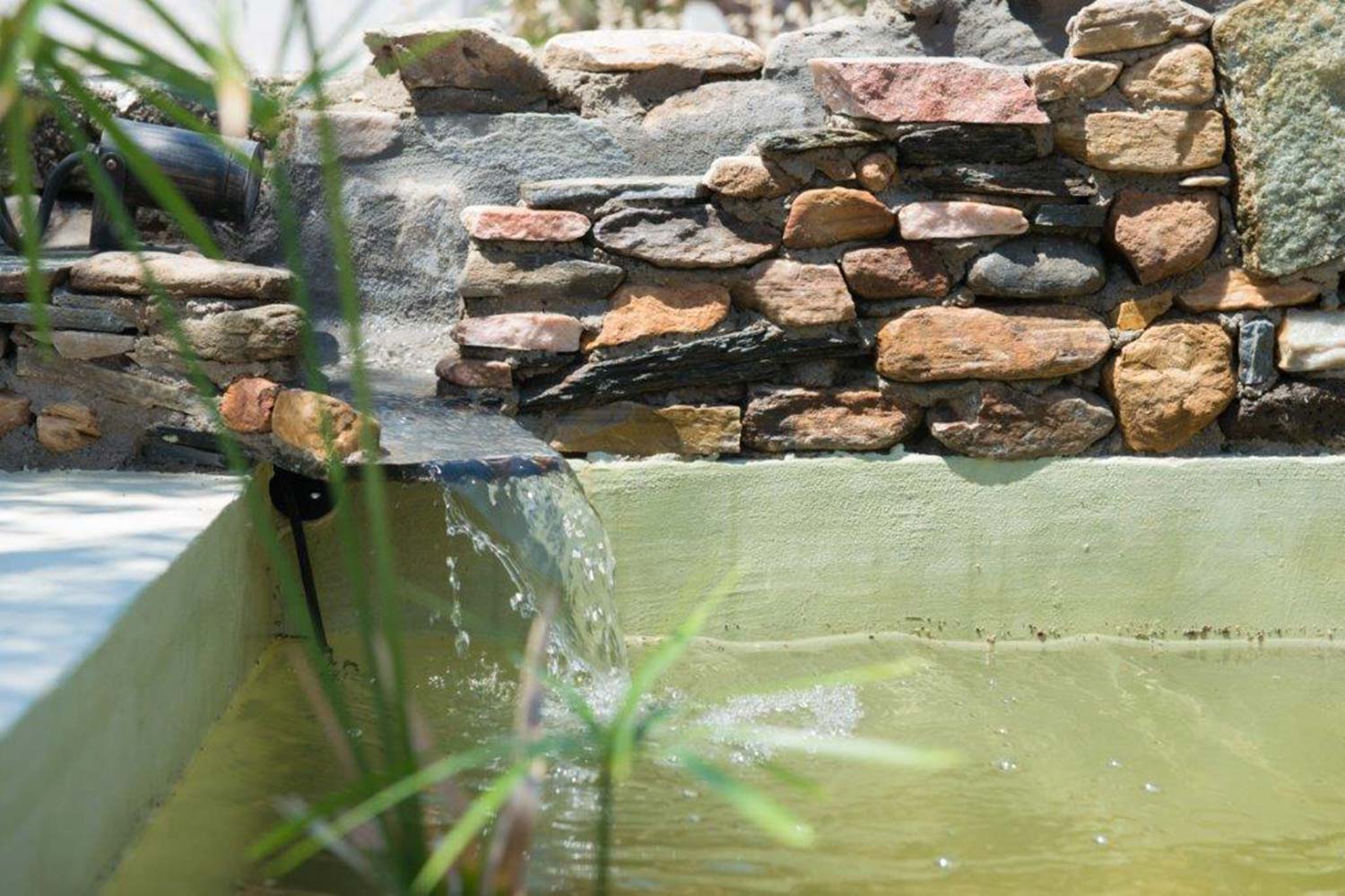 Μικρή λιμνούλα στον κήπο